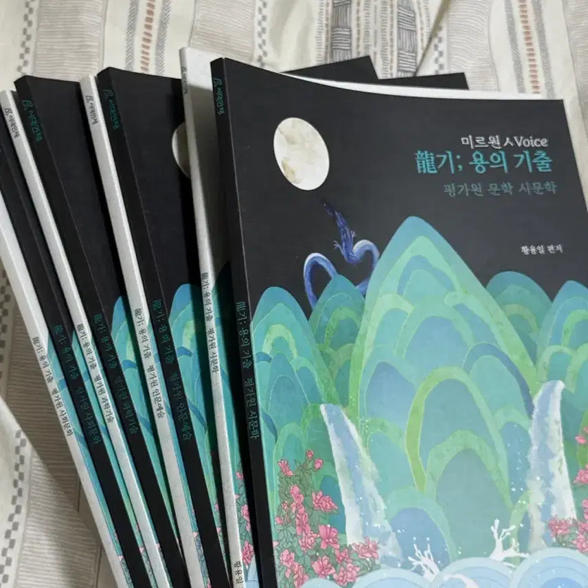 [BUNJANG] 2025 Hwang Yong-il T 'Yong's Past Questions' Korean Literature Past Paper Workbook / 시대인재 국어 황용일T 용의 기출 용기 문학 기출 문제집