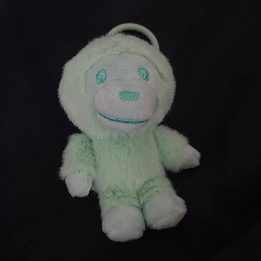 [BUNJANG] Baby Milo Mint Keyring / 베이비마일로 민트 키링 베이프 에이프