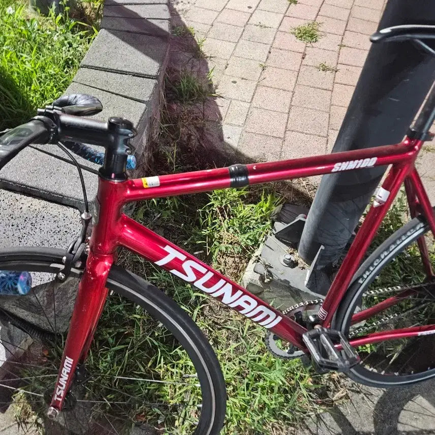 [BUNJANG] Tsunami SNM100 Red Wine Bicycle / (어그로 x, 구성 좋아요) 쓰나미 snm100 레드와인