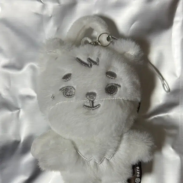 [BUNJANG] DAY6 Young K Youngest Secret Random Keychain Angel / 영케이 영기스트 시크릿 랜덤 키링 쁘멀 천사
