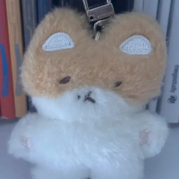 [BUNJANG] Fuzzy Tassel Keychain / 터래기 키링