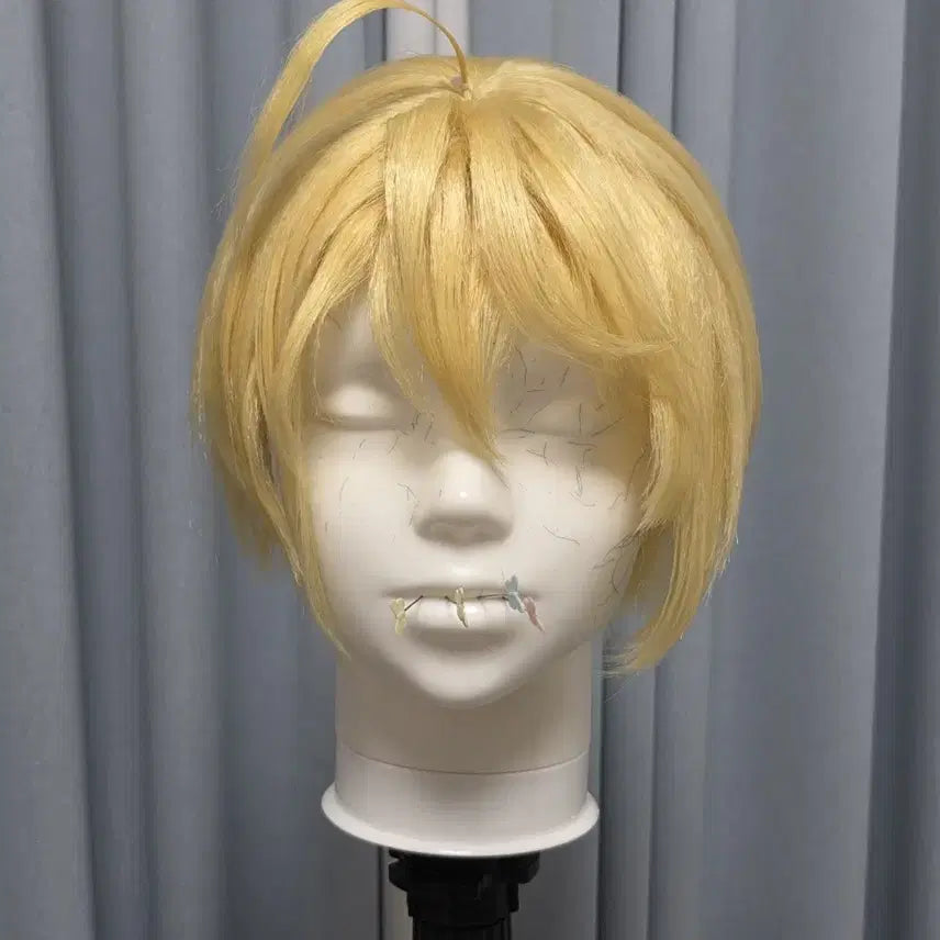 [BUNJANG] Lui Cosplay Costume + Wig (Women's Size M) / 캐캐체 루이 코스프레 의상+가발 m