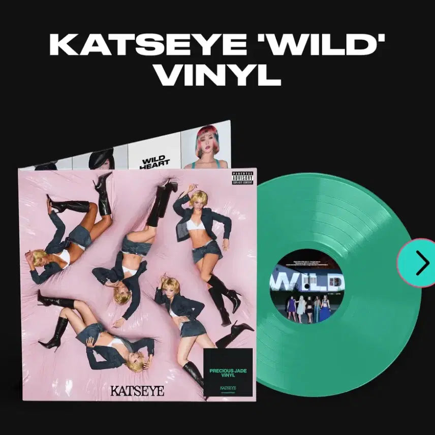[BUNJANG] Katsete Wild LP Autographed / 초희귀 개인문구 친필싸인 lp] 캣츠아이 katsete wild lp