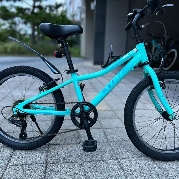 [BUNJANG] Alton 20-inch Folding Bike Mint / 알톤 자전거 20인치 민트색