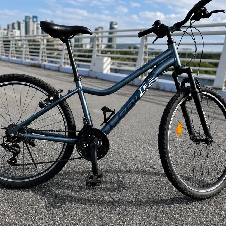 [BUNJANG] Lespo Stinger SF 26-inch MTB Bicycle / 레스포 스팅거 SF 26인치 MTB 자전거