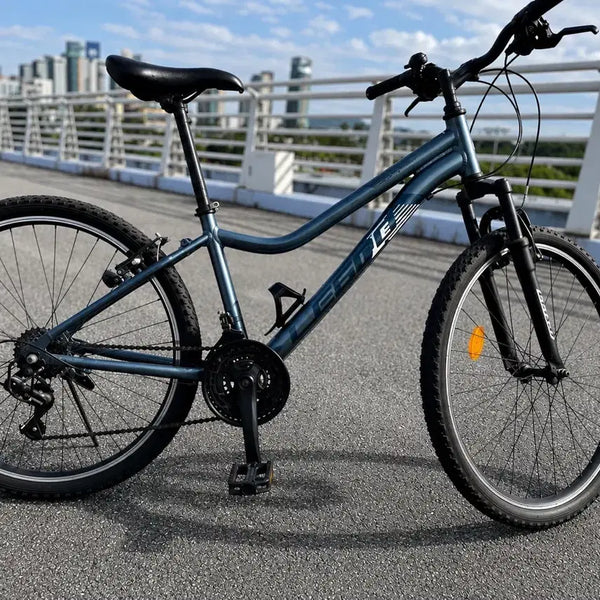 [BUNJANG] Lespo Stinger SF 26-inch MTB Bicycle / 레스포 스팅거 SF 26인치 MTB 자전거