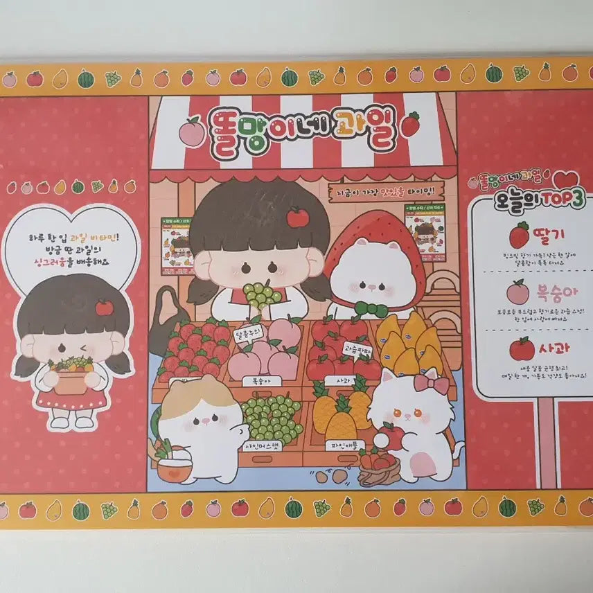 [BUNJANG] Ttolmangi 4 A4 Wrapping Paper Set / {영상요청가능} 랩핑지처분 똘망이 4 A4