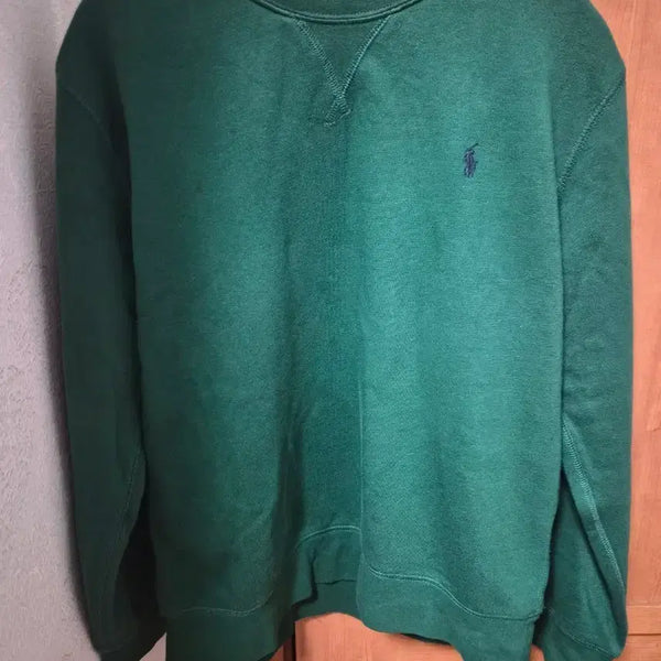 [BUNJANG] Polo Boys Sweatshirt Large / 폴로 보이즈 맨투맨 라지사이즈 팝니다( 여성55 가능)