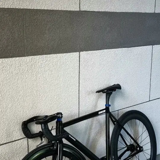 [BUNJANG] Tsunami SNM100 Black Horse Frame Set - Size M / 쓰나미 흑마 프레임셋