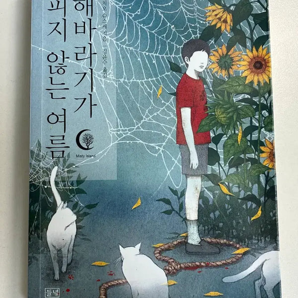 [BUNJANG] Intimate Stranger, Summer When Sunflowers Don't Bloom, You Shine in the Moonlight Novel Set / 친밀한 이방인, 해바라기가 피지 않는 여름, 너는 달밤에 빛나고 소설책