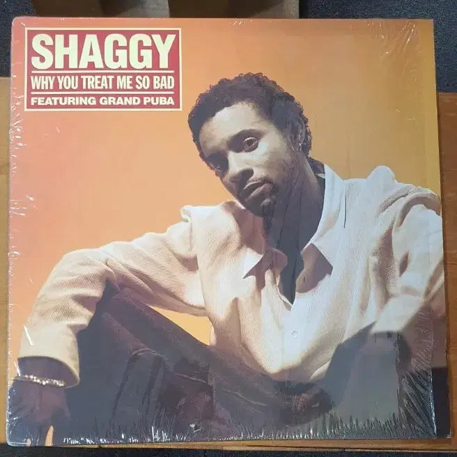 [BUNJANG] Shaggy 'Why You Treat Me So Bad' Import LP / 샤기 LP Why You Treat Me So Bad 수입반