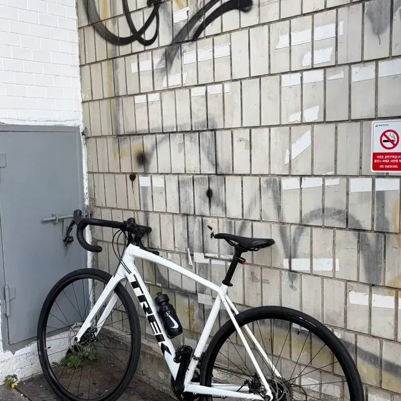 [BUNJANG] Trek Domane AL3 Size M / 트렉 도마니 AL3 판\대