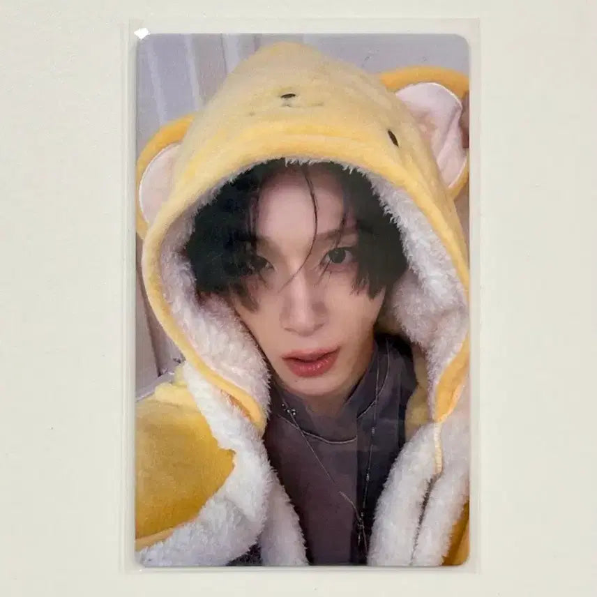 [BUNJANG] XLOV HARU Photocard POB / XLOV 엑스러브 HARU 하루 포카 포토카드 미공포