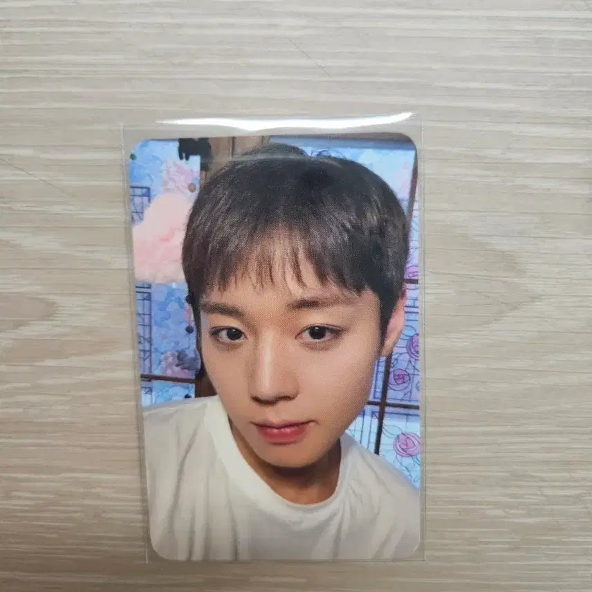 [BUNJANG] Park Ji Hoon Soundwave POB Photocard / 박지훈 사운드웨이브 특전 포토카드 양도
