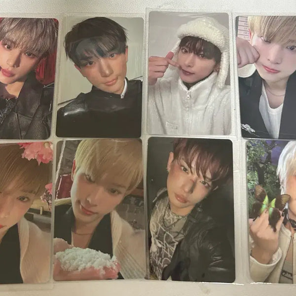 [BUNJANG] &team Harua Bundle Set Photocard / 앤팀 하루아 포카 일괄 양도 &team 죠 의주 유마 타키