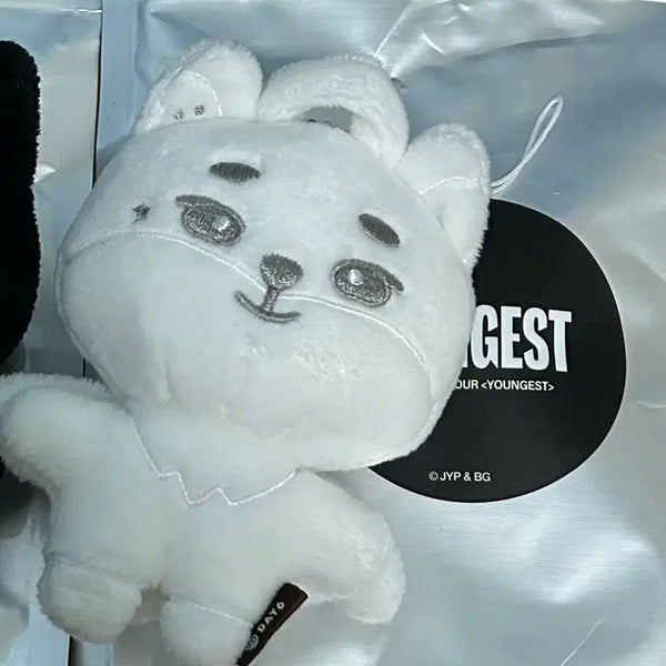 [BUNJANG] YOUNG K Angel Demel Secret Doll / 영기스트 영케이 시크릿인형 천사데멀케