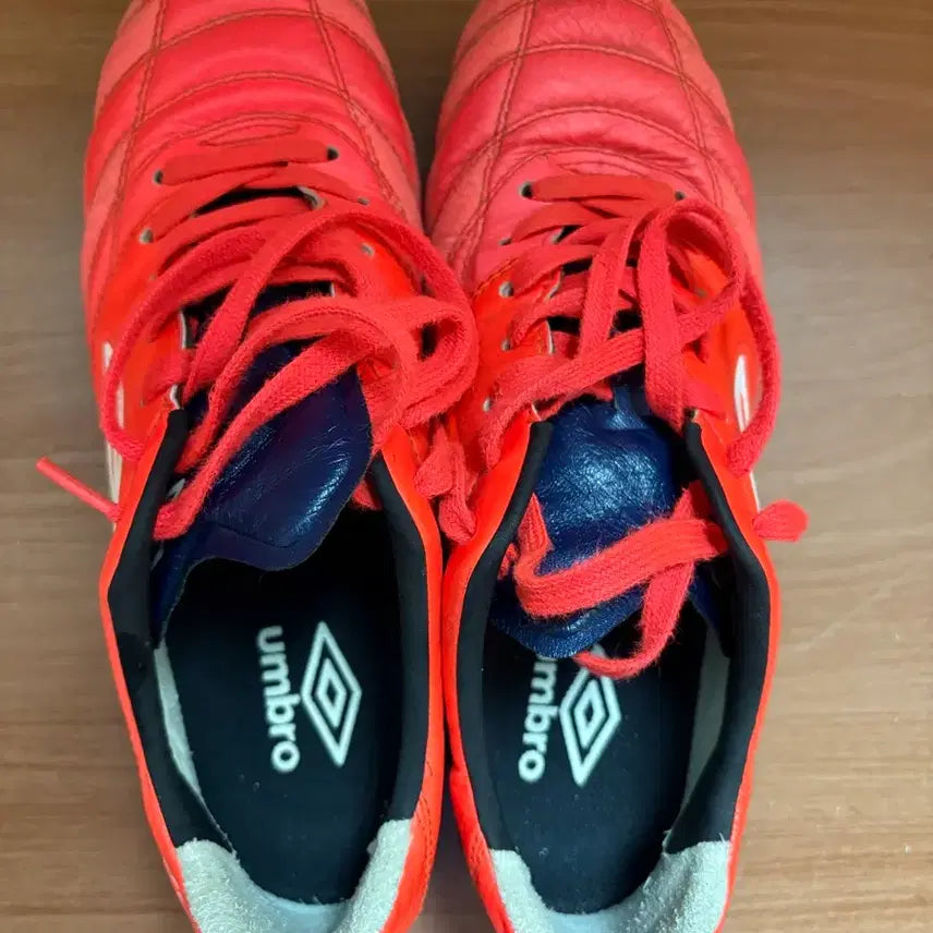 [BUNJANG] Umbro Accelerator Pro Soccer Cleats 255 / (최상급) 엄브로 액셀러레이터 프로 축구화 255