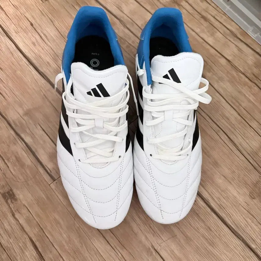 [BUNJANG] Copa Gloro MG Size 300 Soccer Cleats / 코파 글로로 mg 토니크로스 300사이즈