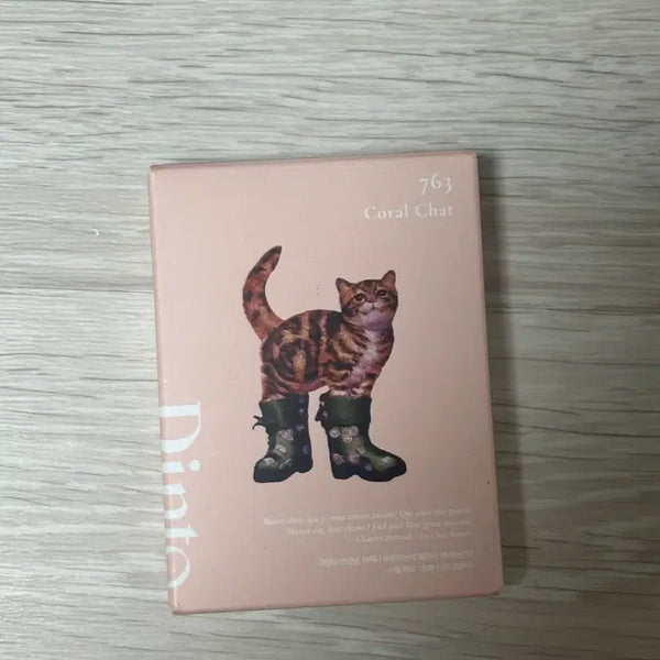 [BUNJANG] Dinto Coral Scha 763 Lipstick / 딘토 코랄샤 763 새상품