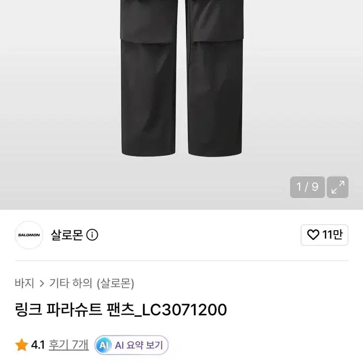 [BUNJANG] Salomon L-Link Parachute Pants / [L] 살로몬 링트 파라슈트 팬츠