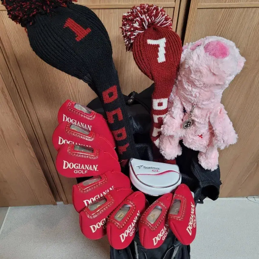 [BUNJANG] Daiwa ONOFF Complete Women's Golf Club Set with Bridgestone Putter and Scotty Cameron Caddy Bag / 다이와 ONOFF 골프채 풀세트