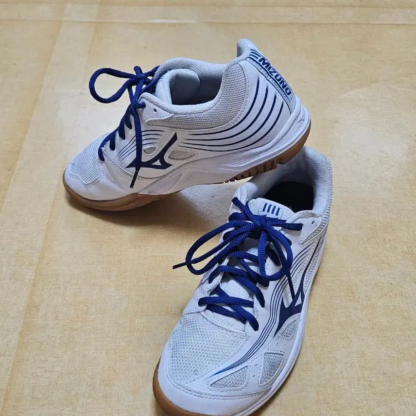[BUNJANG] Mizuno Badminton Shoes Size 255 / 미즈노 배드민턴화 255사이즈