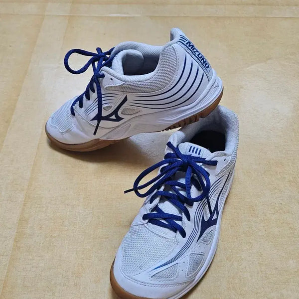 [BUNJANG] Mizuno Badminton Shoes Size 255 / 미즈노 배드민턴화 255사이즈