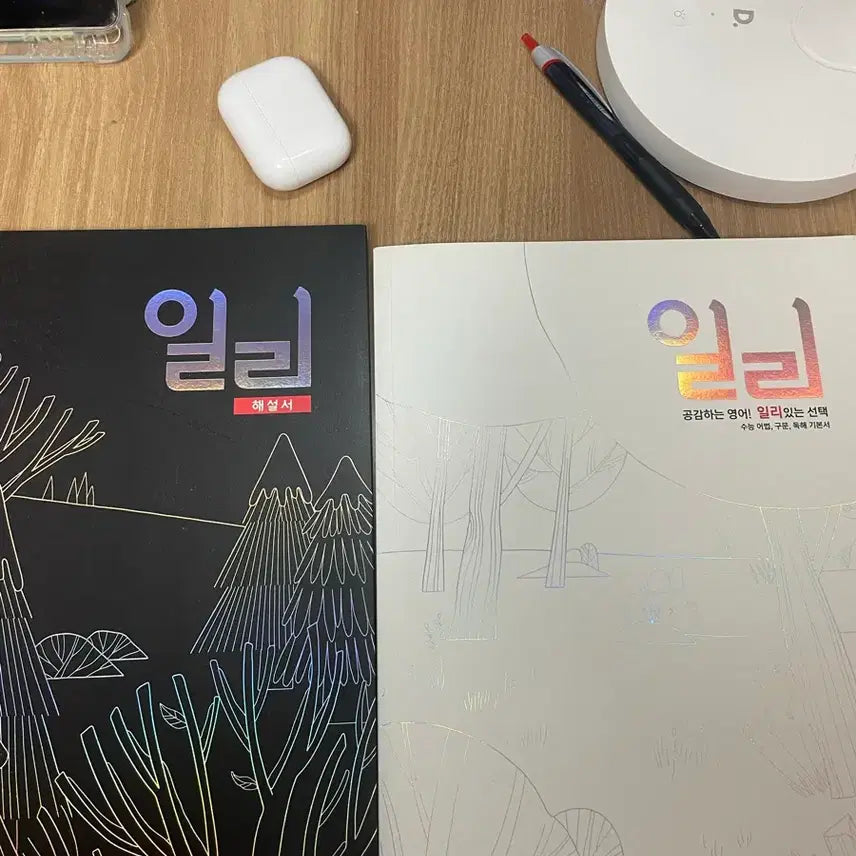 [BUNJANG] Lee Myung Hak 2025 Diary / 이명학 2025 일리