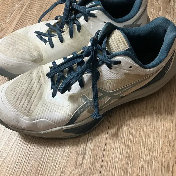 [BUNJANG] Asics Sky Elite FF3 / Netburner Ballistic FF3 Volleyball Shoes (285mm) / 아식스 스카이 엘리트 ff3 285  /아식스 넷버너 발리스틱 FF3/아식스 배구화