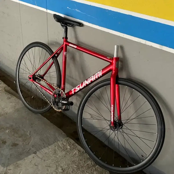 [BUNJANG] Aggro SNM100 Red Wine Pixie Complete Bike / 어그로x)쓰나미 snm100 레드와인 픽시 완차 판매합니다