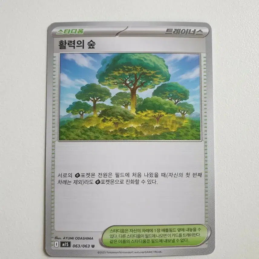 [BUNJANG] Pokémon Card Stadium Forest of Vitality Trainer's / 스타디움 활력의 숲 트레이너스 포켓몬카드