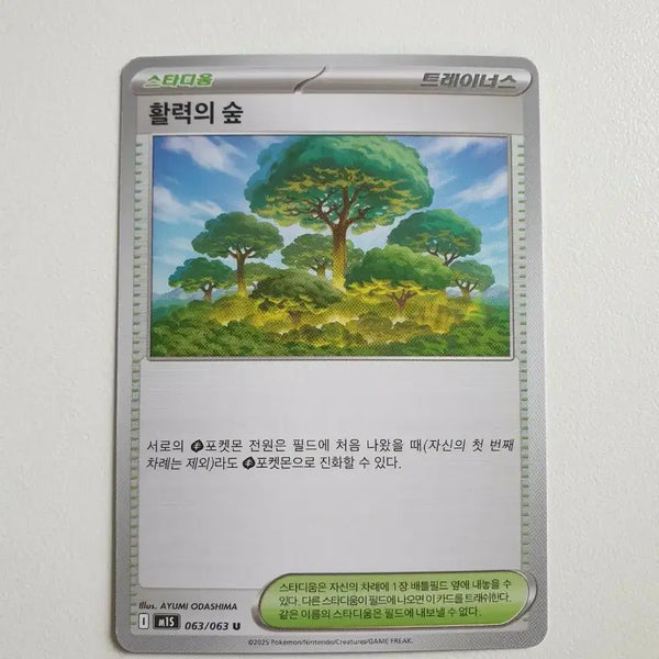 [BUNJANG] Pokémon Card Stadium Forest of Vitality Trainer's / 스타디움 활력의 숲 트레이너스 포켓몬카드