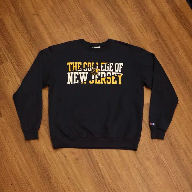 [BUNJANG] Champion College Graphic Sweatshirt Navy / 챔피온 맨투맨 대학 로고 프린팅 네이비 판매