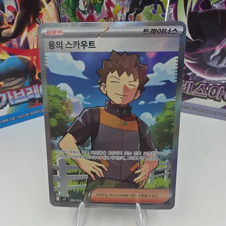 [BUNJANG] Pokemon Card "Young's Scout" SR / 포켓몬카드 웅의 스카우트 SR