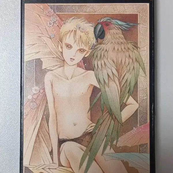 [BUNJANG] Shimizu Reiko Miracle Tarot Major Arcana (22 Cards) / [주말 한정 할인 판매] 시미즈레이코 미라클타로 22장 메이져 타로카드