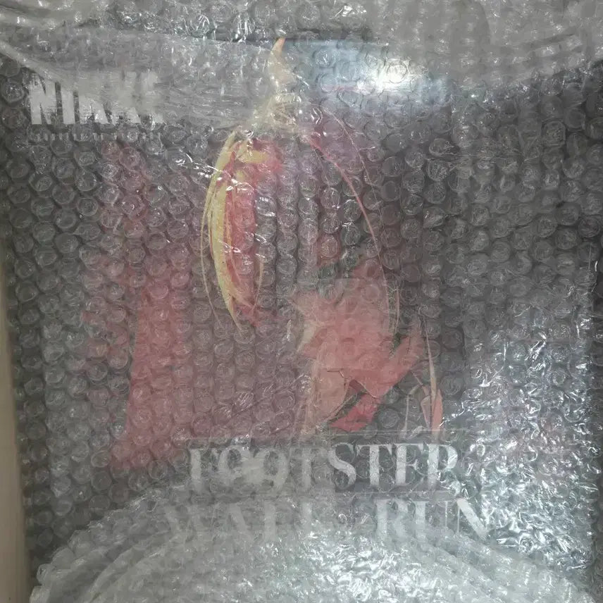 [BUNJANG] Nike Raphee LP Sealed / 니케 라피LP 미개봉