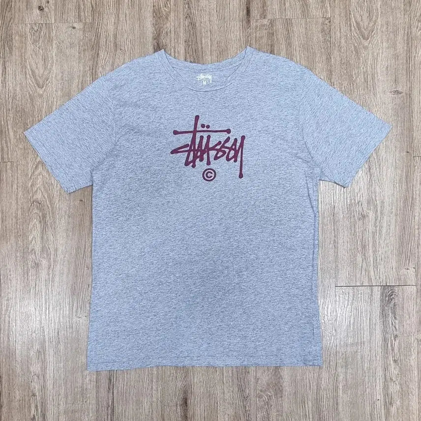 [BUNJANG] Stussy Basic Stock Logo T-Shirt M / 스투시 베이직 스톡 로고 반팔 M _ 남성