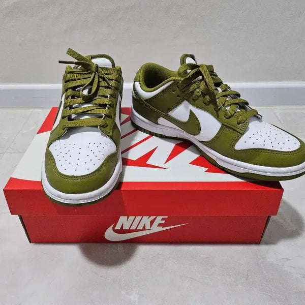 [BUNJANG] Nike Dunk Low Retro Men's US 6.5 Olive Khaki / 나이키 덩크 로우 레트로 남성 245mm