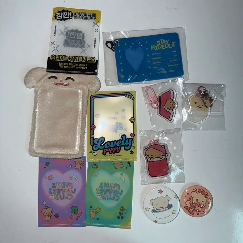 [BUNJANG] Stray Kids Seungmin Photocard Holder Keychain Set / 스트레이키즈 승민 비공굿 포카홀더 키링 양도
