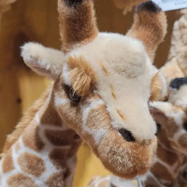 [BUNJANG] Everland 50th Anniversary Maru Giraffe Plush Toy / 마루 기린 인형 에버랜드 50주년 기념