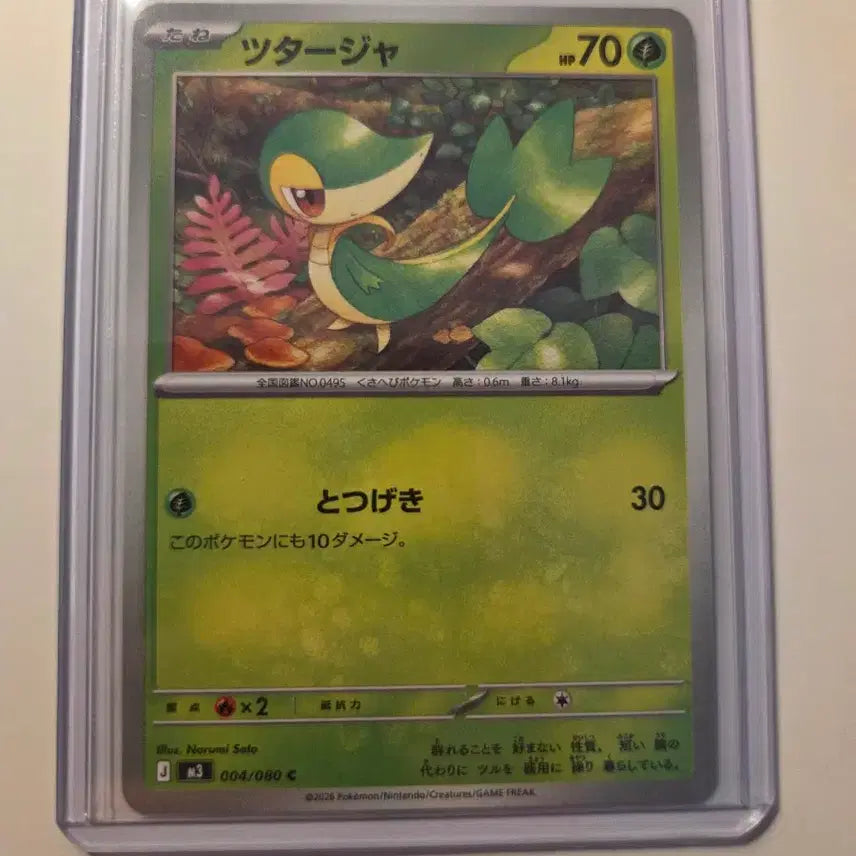 [BUNJANG] Pokemon Card Japanese Serperior / 포켓몬카드 일판 주라비얀