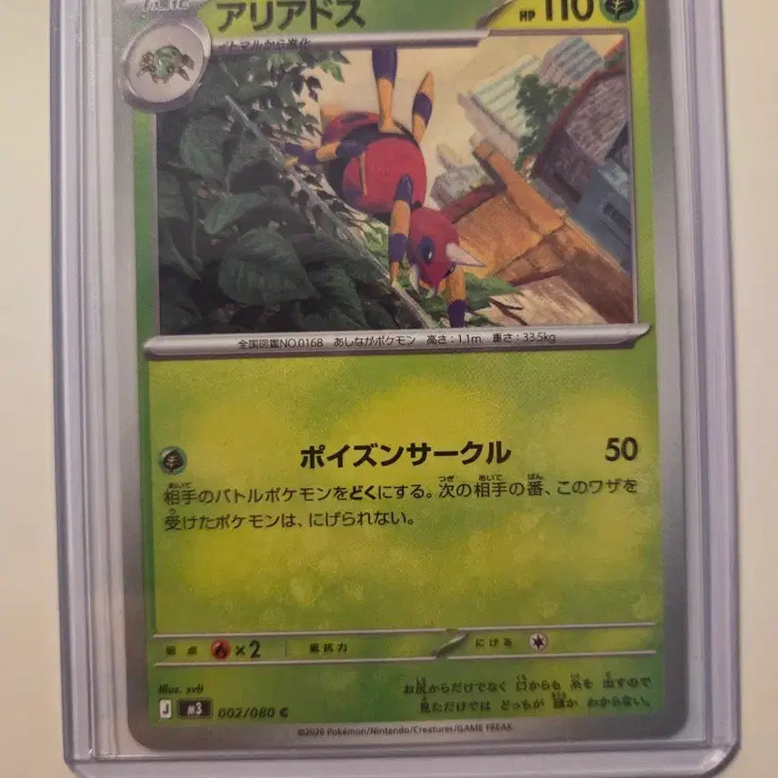 [BUNJANG] Japanese Ariados Pokemon Card / 일판 포켓몬카드 아리아도스