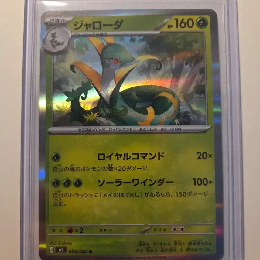 [BUNJANG] Pokemon Card Japanese Serperior / 일판 포켓몬카드 샤로다