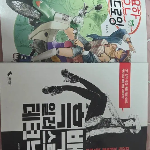 [BUNJANG] Drawing and Illustration Book / 드로잉책 그림 일러스트 만화 책