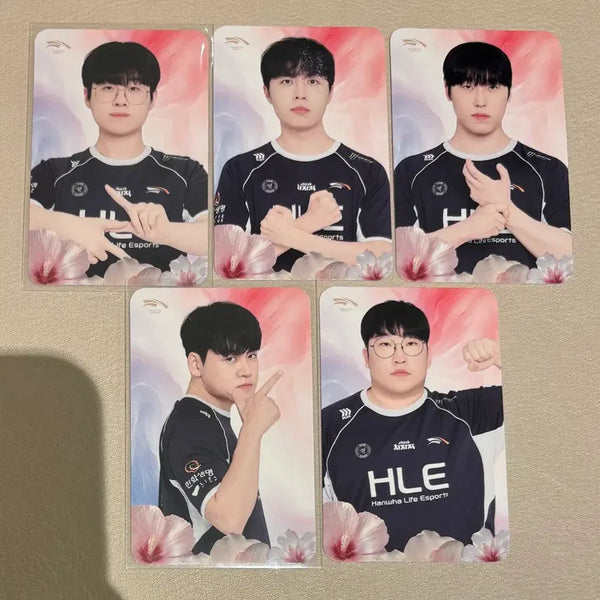 [BUNJANG] HLE Hanwha Life Liberty Day Photocard / hle 한화생명 한생 광복절 기념 포토카드 포카