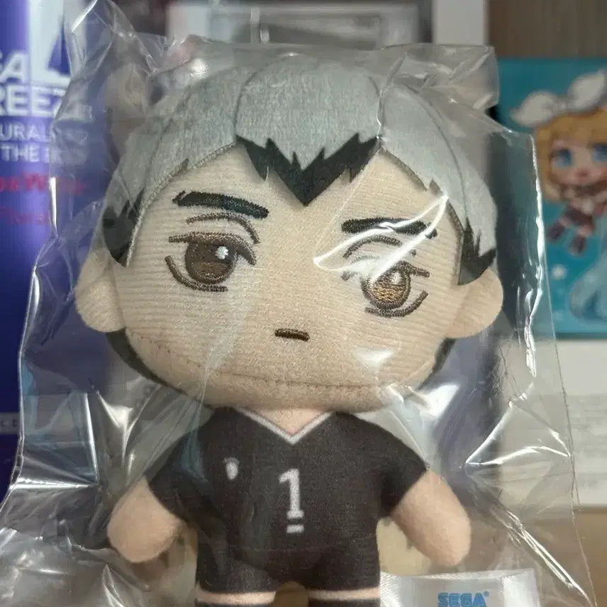 [BUNJANG] Haikyuu!! Shinsuke Kita Plush / 하이큐 키타 신스케 누이