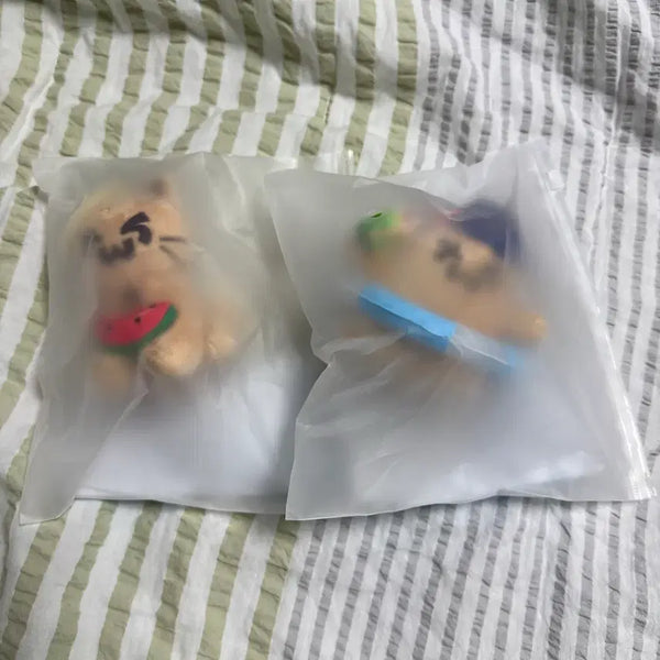 [BUNJANG] TWS "Tanning" TwaNyi TwaRyi Photocard Bundle Set / 투어스 TWS 태닝 투냥이 태닝 투령이 현물