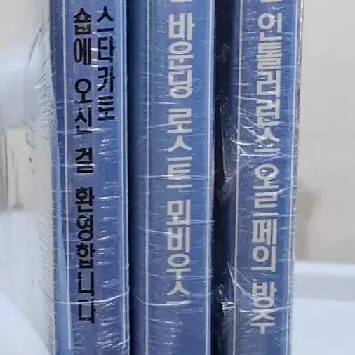[BUNJANG] Boogiepop Intolerance Vol. 12, 13, 14 Set (Sealed) / [절판/미개봉] 부기팝 인톨러런스 12,13,14권 세트 판매, 각 권 특전사진 포함12권 스타카토, 13권 바운딩 로스트 뫼비우스, 14권 오르페의 방주