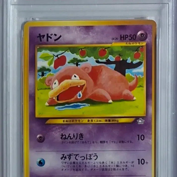 [BUNJANG] Pokemon Card Neo Genesis Yadon PSA 9 Graded Card / 일판 2000 네오제네시스 야돈 psa9 포켓몬 카드