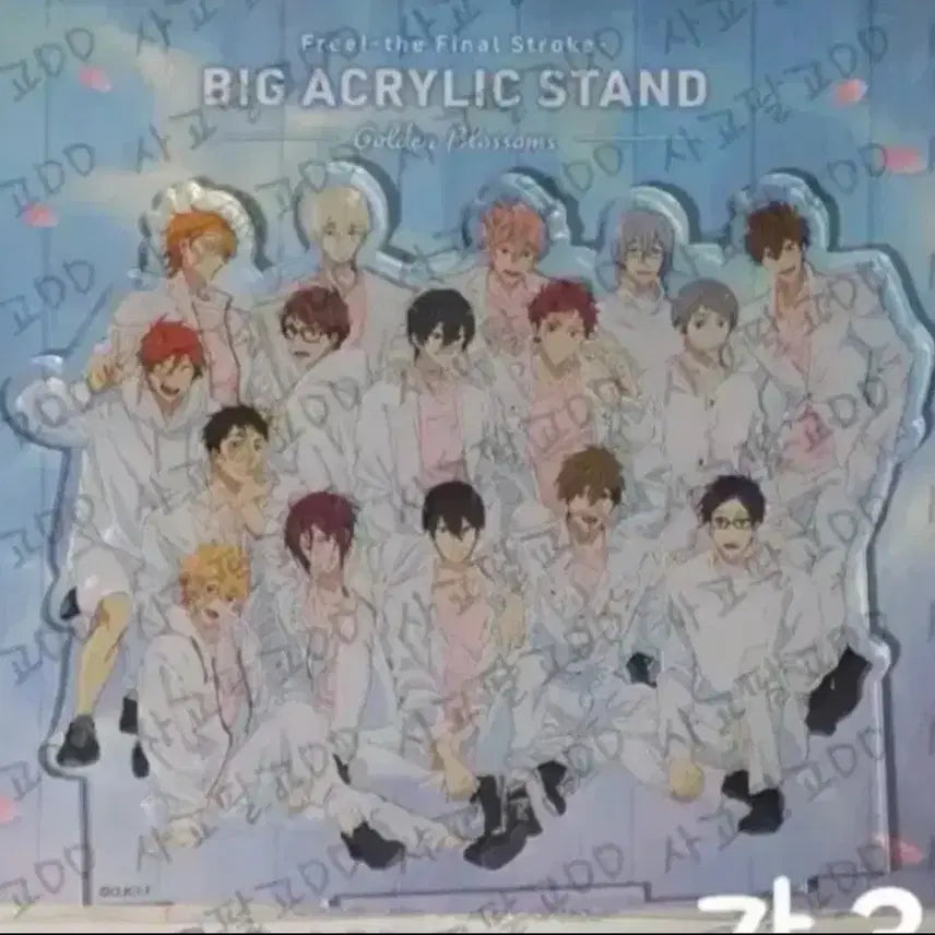 [BUNJANG] Free! Group Acrylic Standee 'Golden Blossoms' / 프리 free! 단체 아크릴 스탠드
